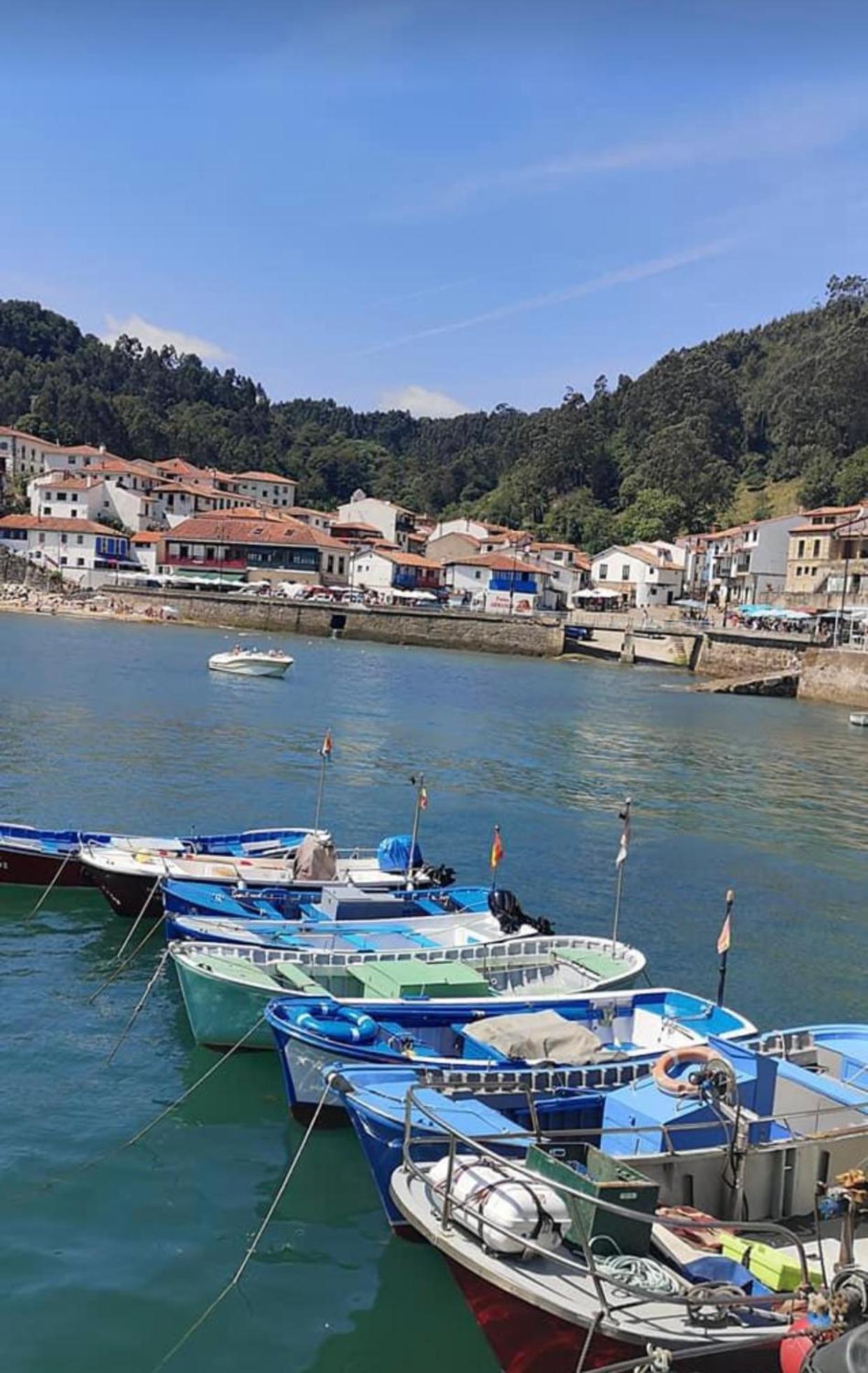 Apartamento Turistico Nanielles Sella Playa - Vut 3050As Ribadesella Exterior foto